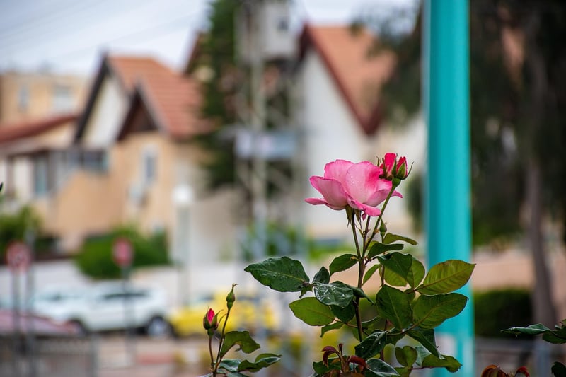 Second Life Creations